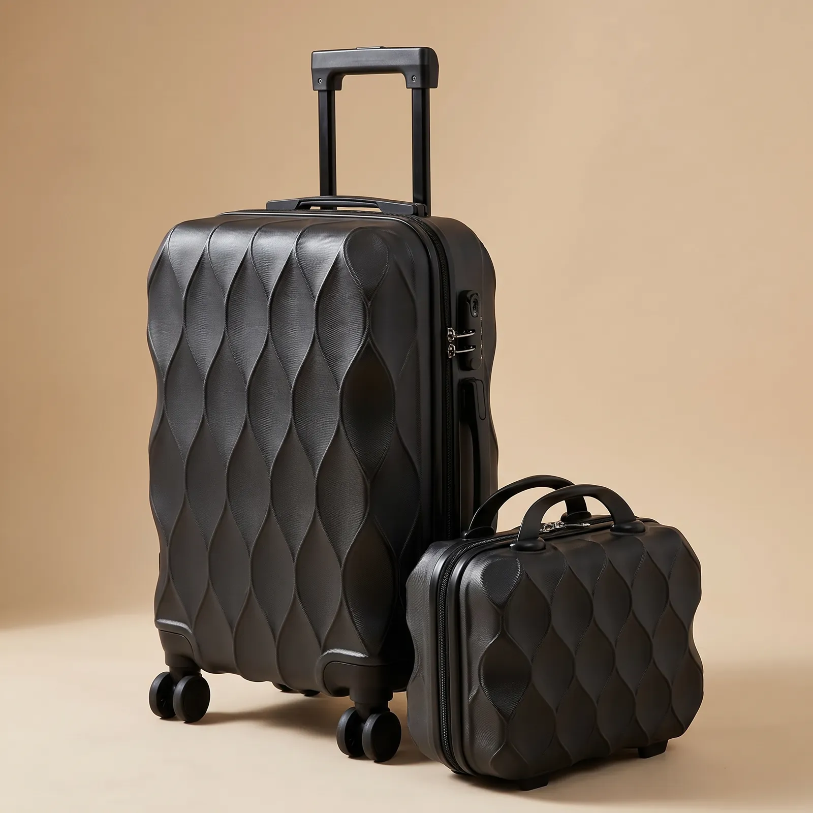 Obsidian carry-on and vanity case